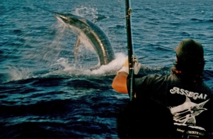 34) ASSEGAI – BIG FISH THROWING THE HOOK 1997